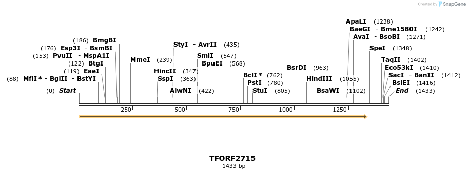278527_map