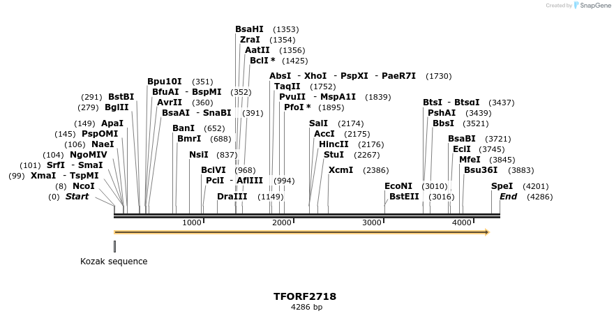 278530_map