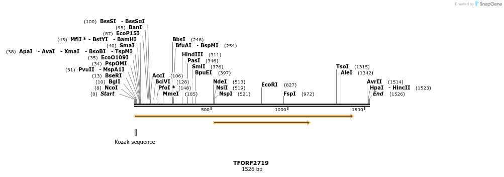 278533_map