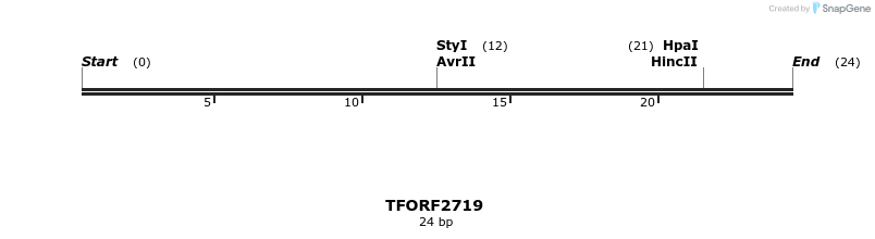 278534_map