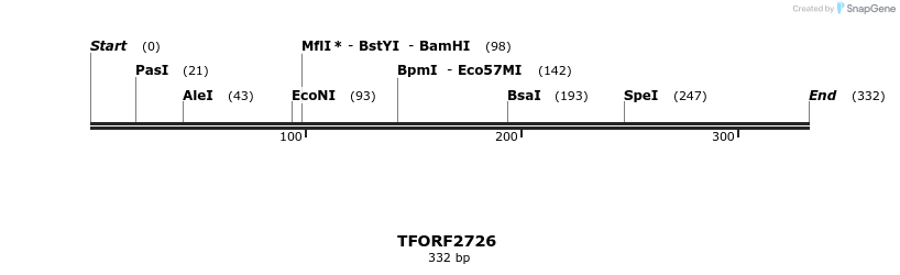 278536_map