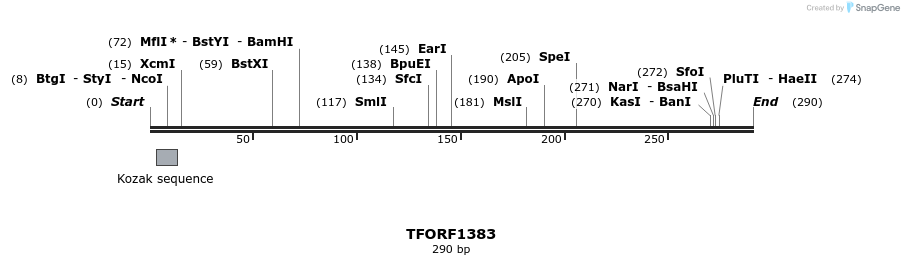 278539_map