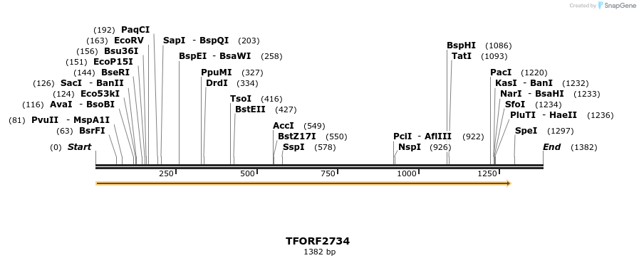 278542_map