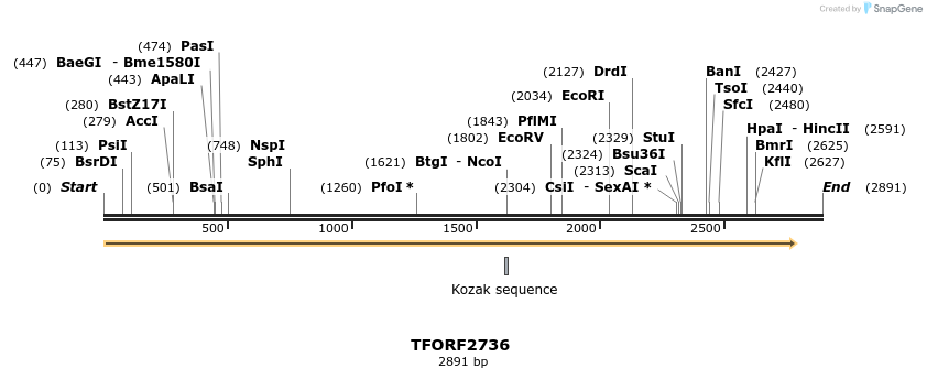 278545_map