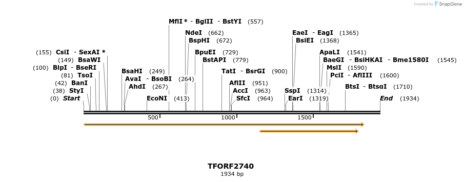 278551_map