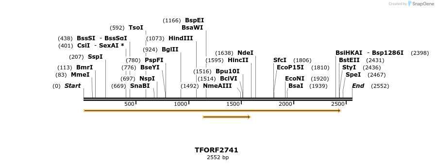 278554_map