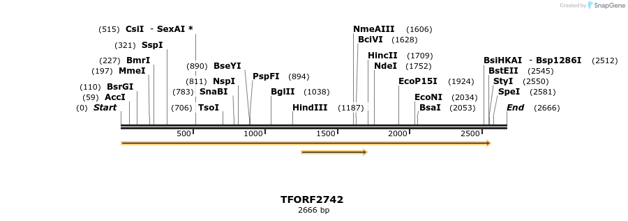 278557_map