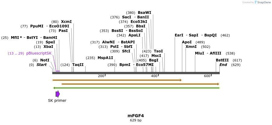 27856_map