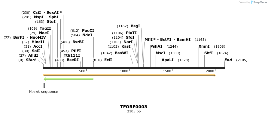 278561_map