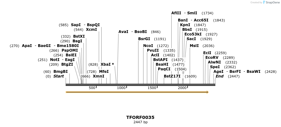 278564_map