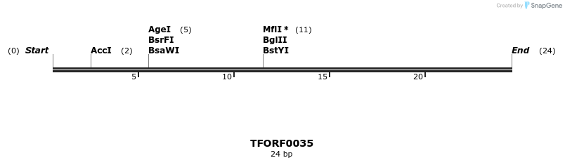 278565_map