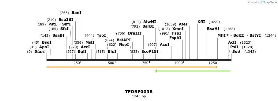 278567_map