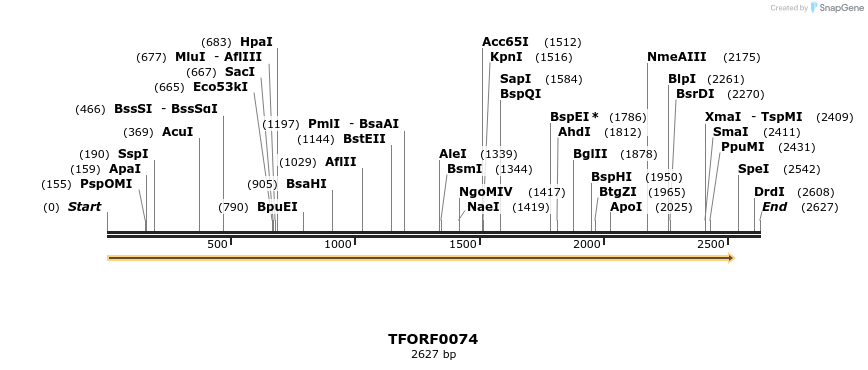 278570_map