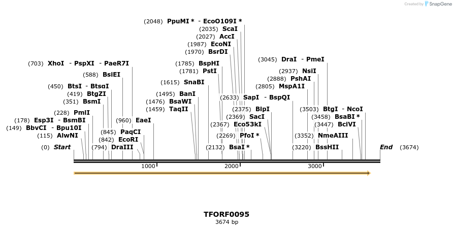 278573_map