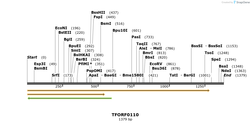 278576_map