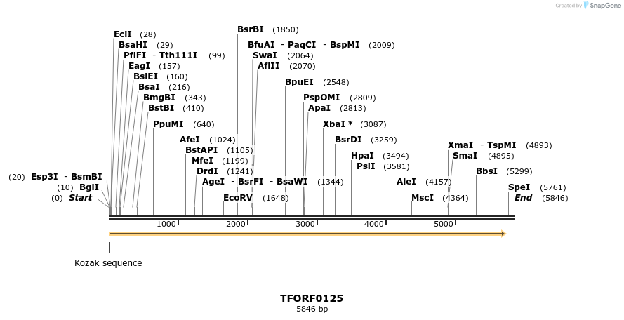 278579_map