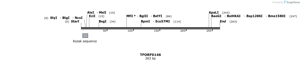 278582_map