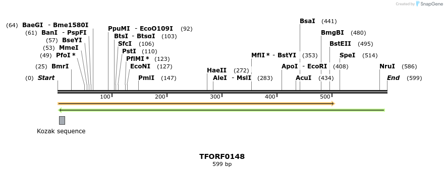 278585_map