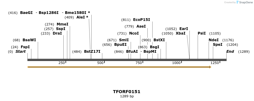 278588_map