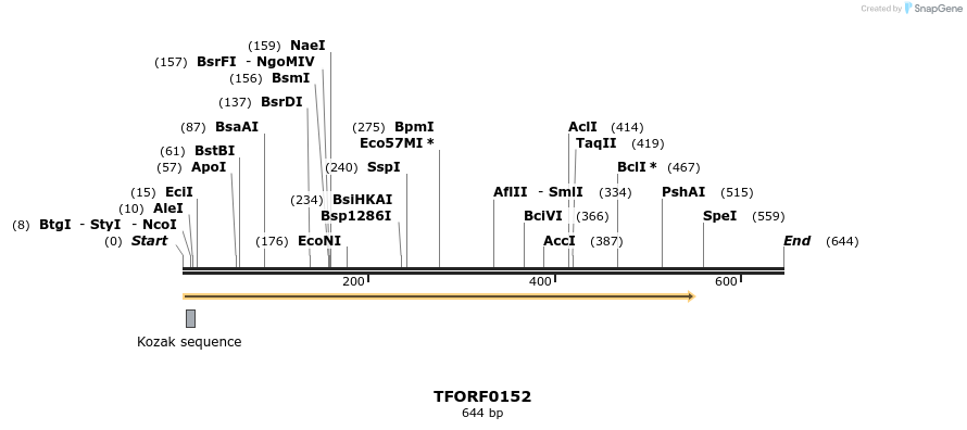 278591_map