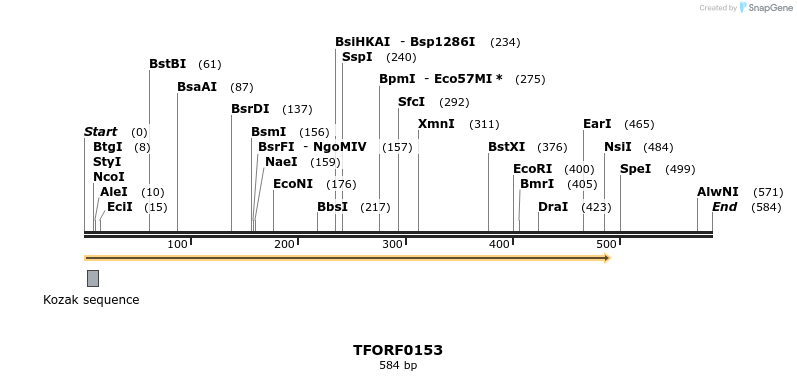 278594_map