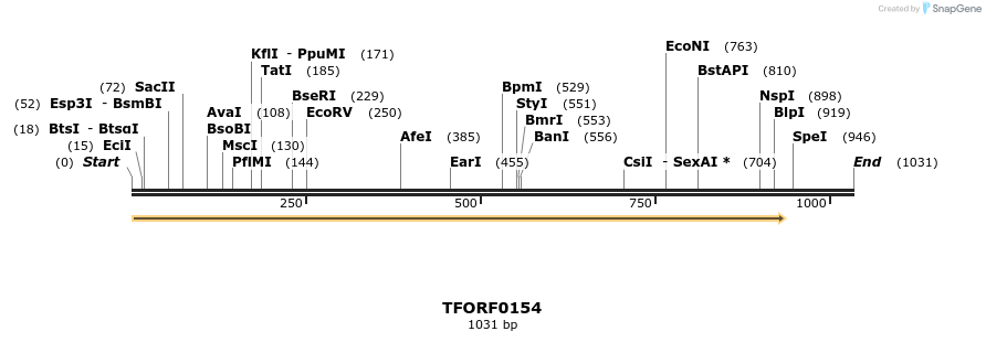 278597_map