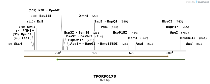 278600_map