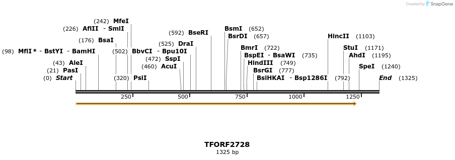 278603_map