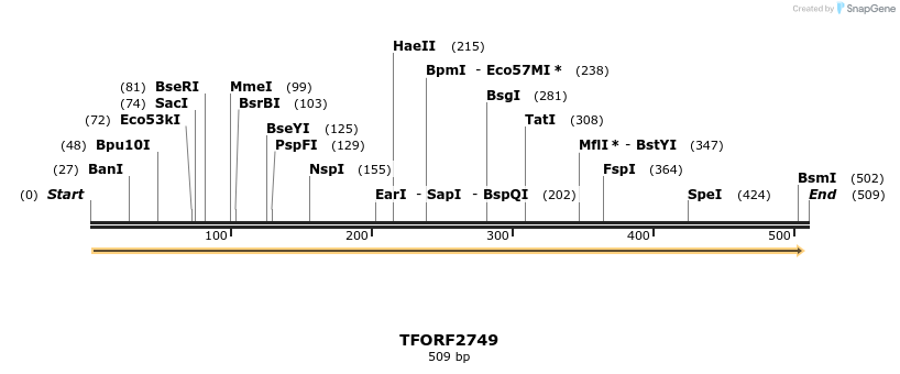 278606_map