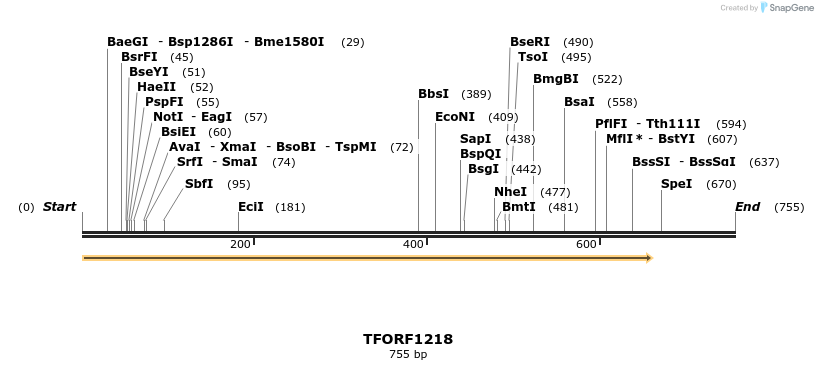 278609_map