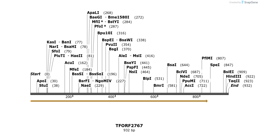 278612_map