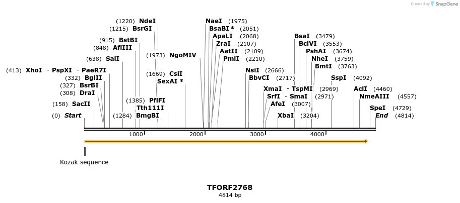 278615_map