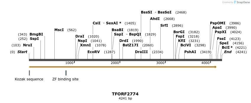 278618_map