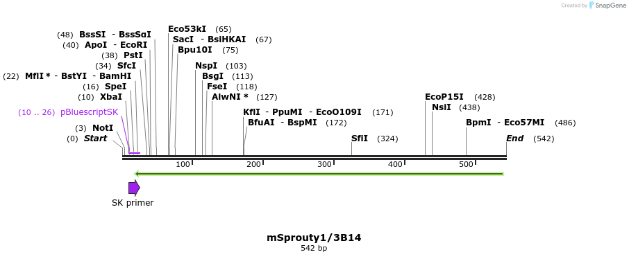 27862_map