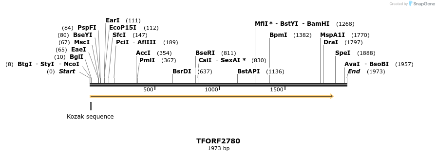 278621_map