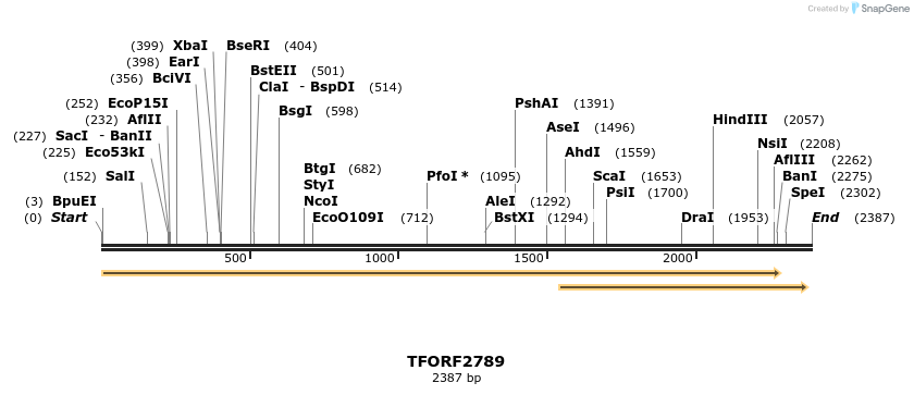 278624_map