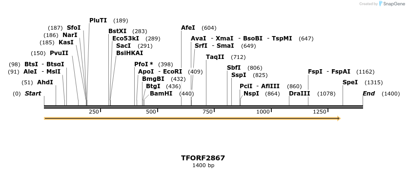 278627_map