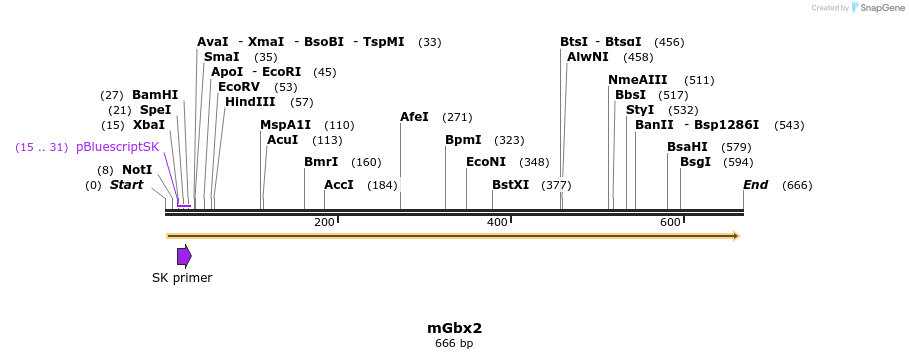 27863_map