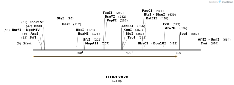 278633_map