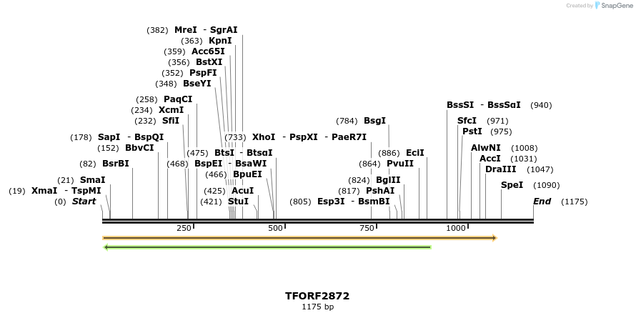 278636_map