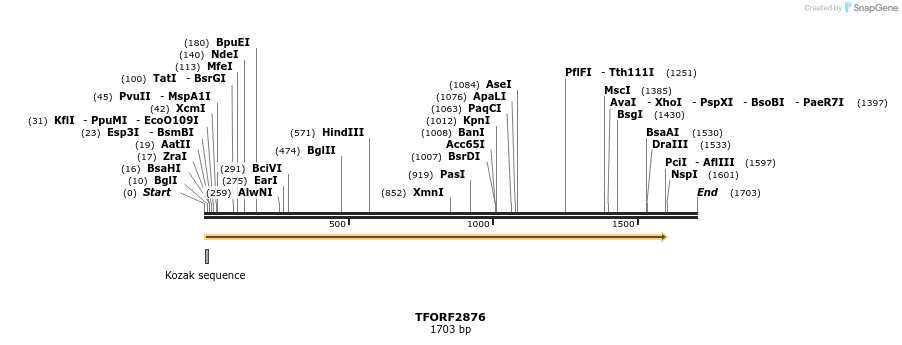 278639_map