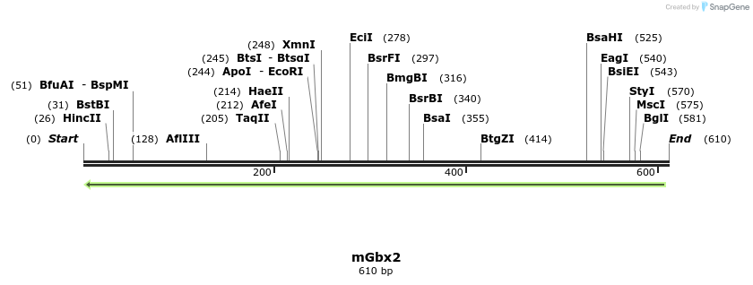 27864_map