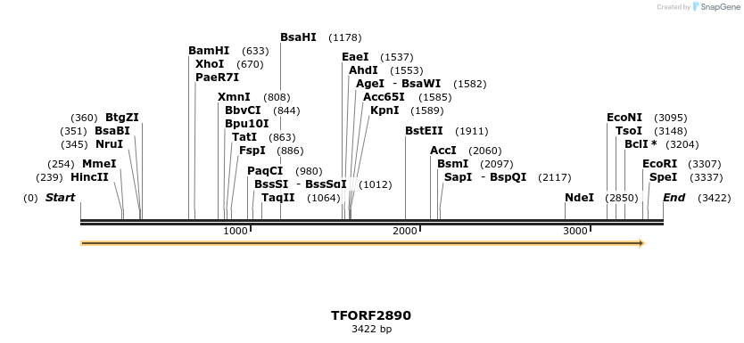 278642_map