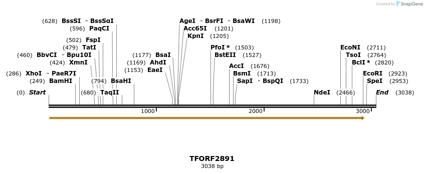 278645_map