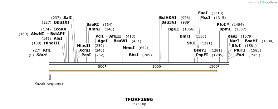 278648_map