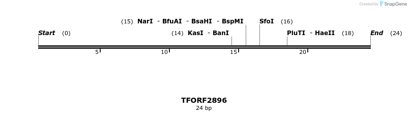 278649_map