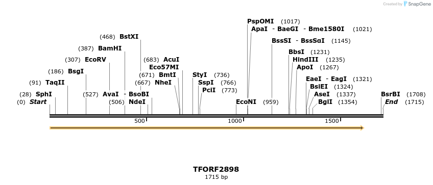 278651_map