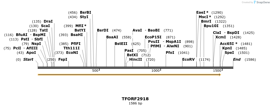 278654_map