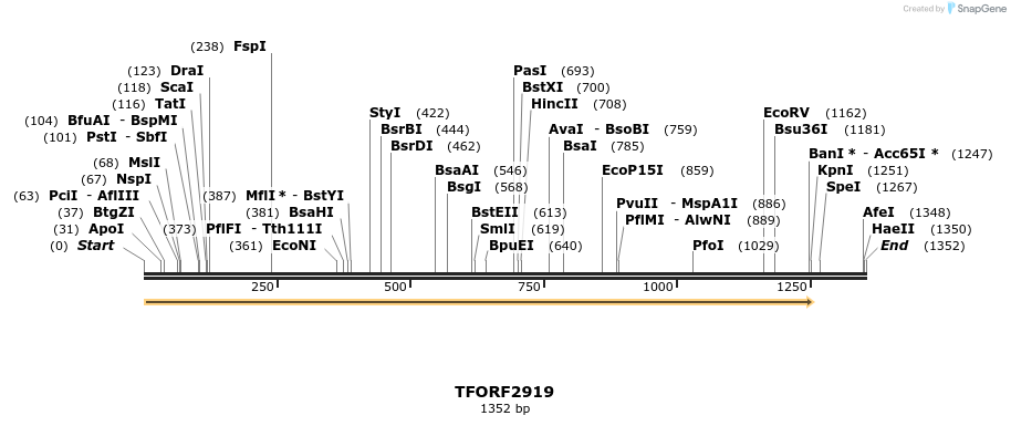 278657_map