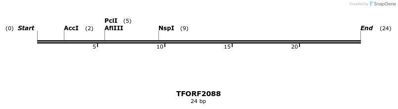 278661_map